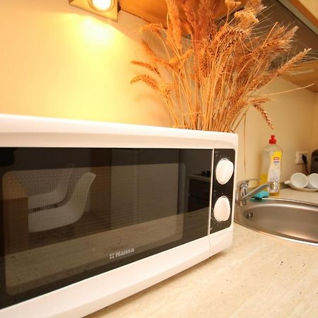 Studio Cozy ティミショアラ エクステリア 写真